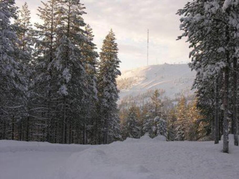 Charming Log House - Lumous B - - Finland *